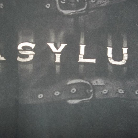 The Most Rare DISTURBED shirt ever made Asylum - Picture 5 of 5